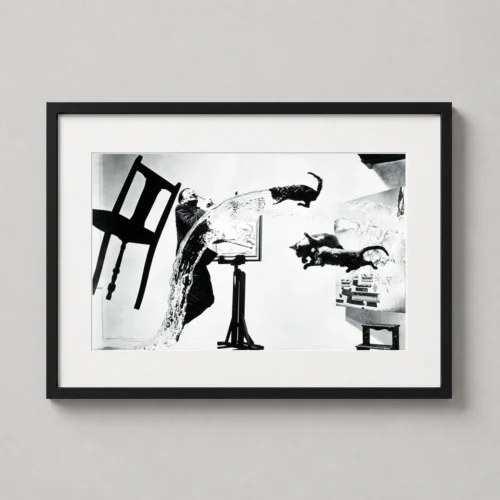 Salvador Dalí, Dalí Atomicus by Philippe Halsman Fine Photography Print