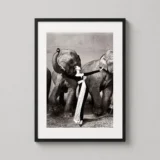 Dovima with Elephants Evening Dress by Dior Fashion Photography Print