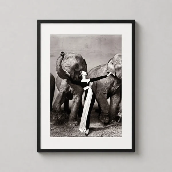 Dovima with Elephants Evening Dress by Dior Fashion Photography Print