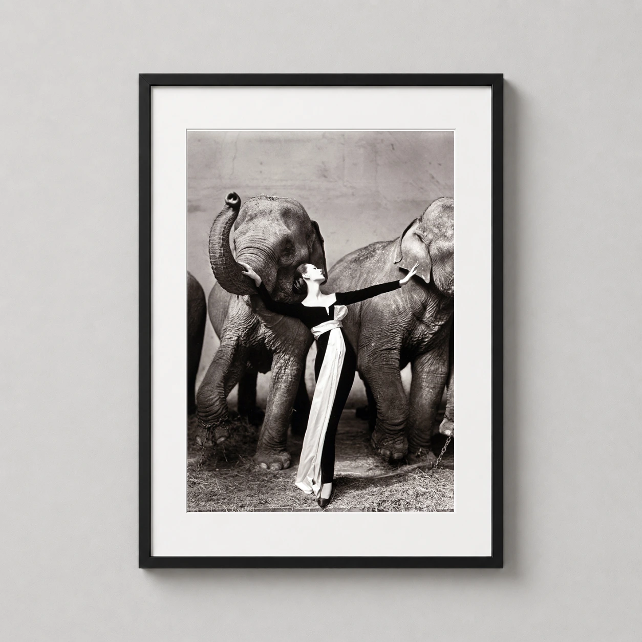 Dior Fashion Photography — black and white fashion photograph featuring model Dovima in a Dior