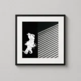 Robert Mapplethorpe Lily 1986 Black and White Photography Print