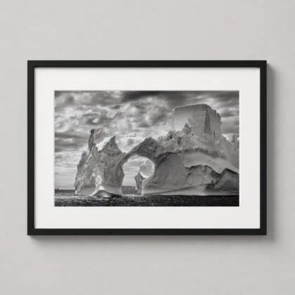 MerchFuse Sebastião Salgado, Antarctica 2005 Genesis Series photography print with photography character