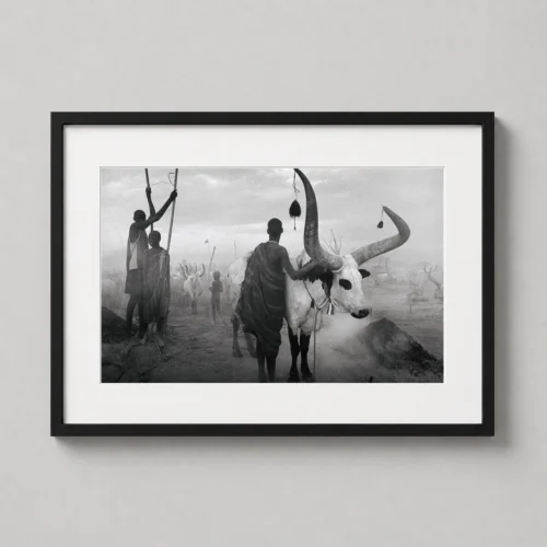 Sebastiao Salgado, South Sudan Cattle Camp Black and White Photography Print