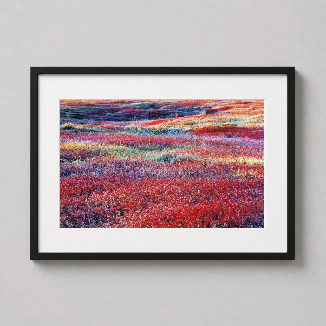 Christopher Burkett Sunrise Autumn Photo — christopher Burkett Sunrise Autumn lands as a fine-art photography