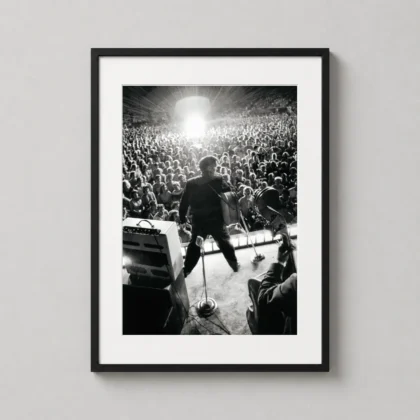 Elvis Presley Poster Concert 1956 - photography print from MerchFuse