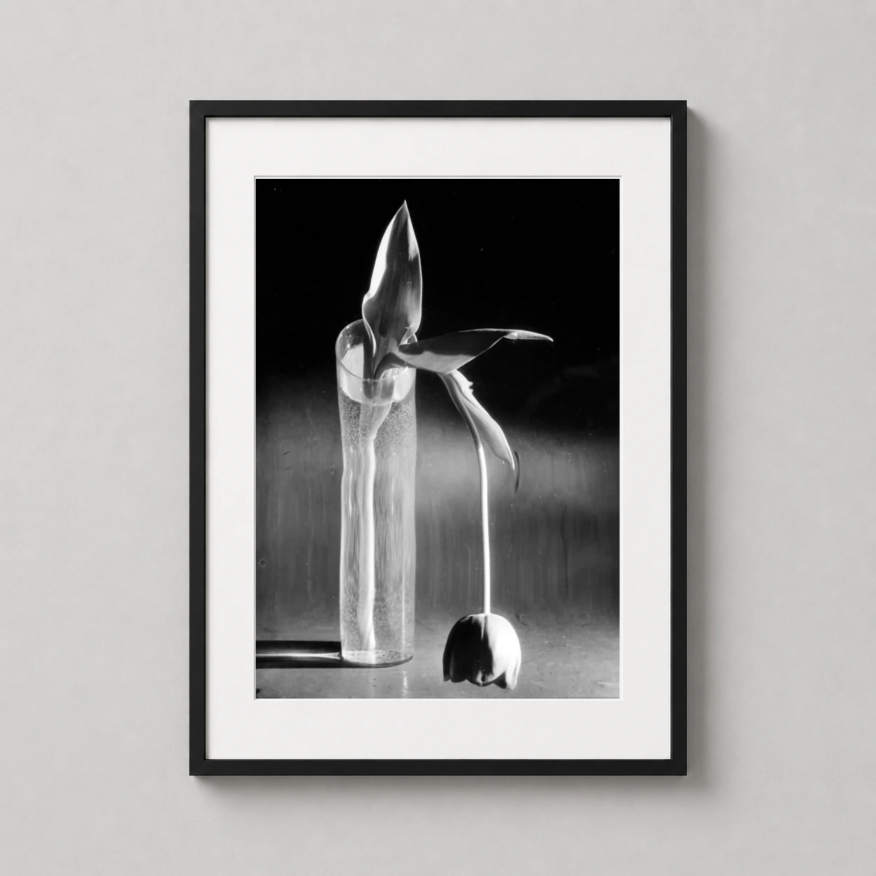 Room mockup of André Kertész Art, Melancholic Tulip 1939 Photography Print, displayed as framed wall art in a office setting as a portrait print with black and white tones.