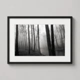 Paul Caponigro Fog and Trees Redding 1968 Photography Print