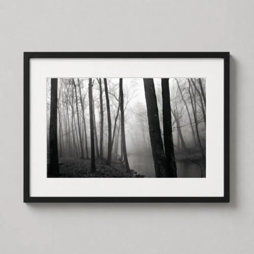Paul Caponigro Fog and Trees Redding 1968 Photography Print