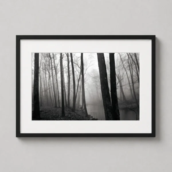 Paul Caponigro Fog and Trees Redding 1968 Photography Print