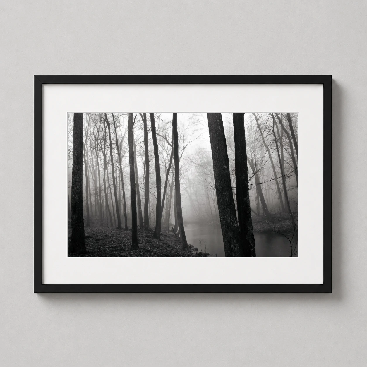 Paul Caponigro Fog Trees — black and white photograph of slender trees shrouded in dense fog along