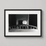 Lee Friedlander Photography Print