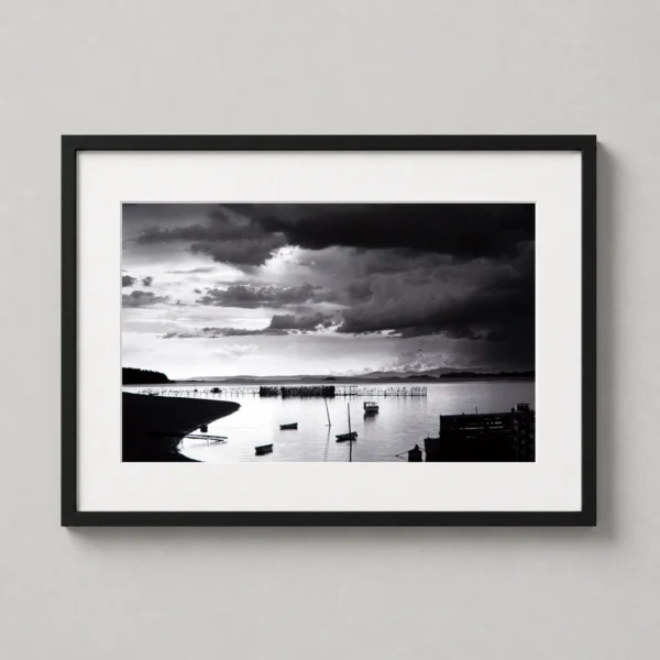 Eliot Porter Photography Print