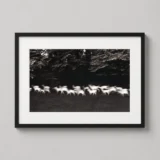 Paul Caponigro Print Photography Print