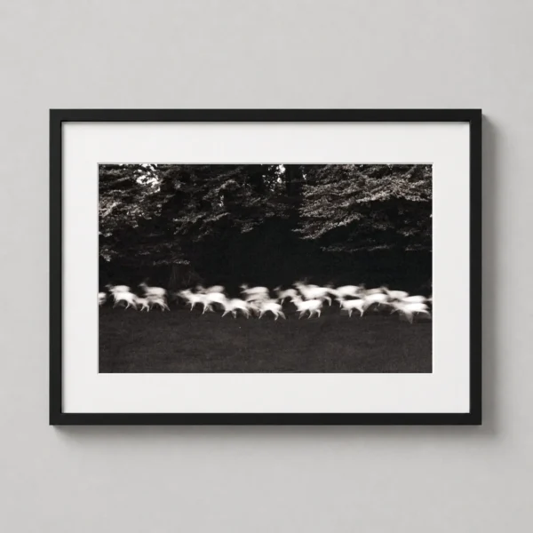 Paul Caponigro Print Photography Print