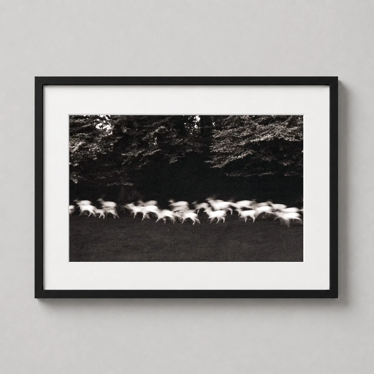Paul Caponigro — paul Caponigro Running White Deer 1967 presents itself as a