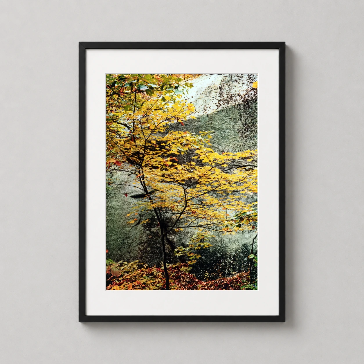 Eliot Porter — eliot Porter Color Nature American acts as a black-and-white