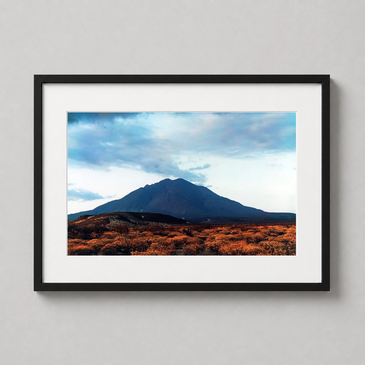 Eliot Porter Photography — eliot Porter Forest Nature American works as a fine-art photography