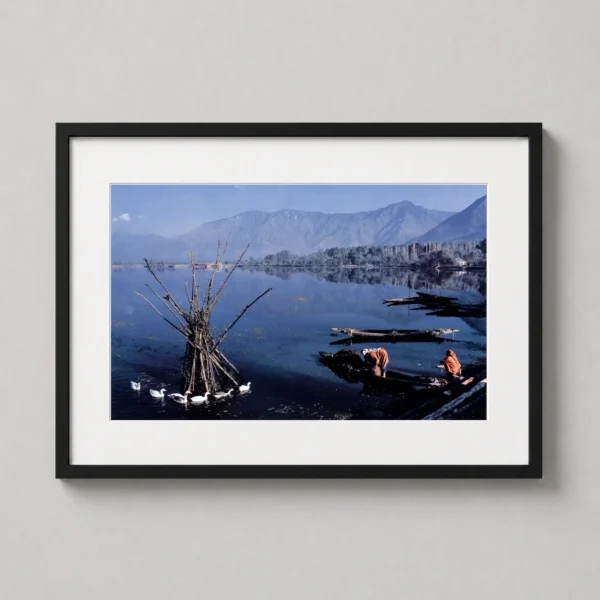 Raghubir Singh Dal Lake Kashmir 1982 Fine Art Photography Print