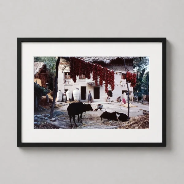 Raghubir Singh Naubora Village Kashmir India Photography Print