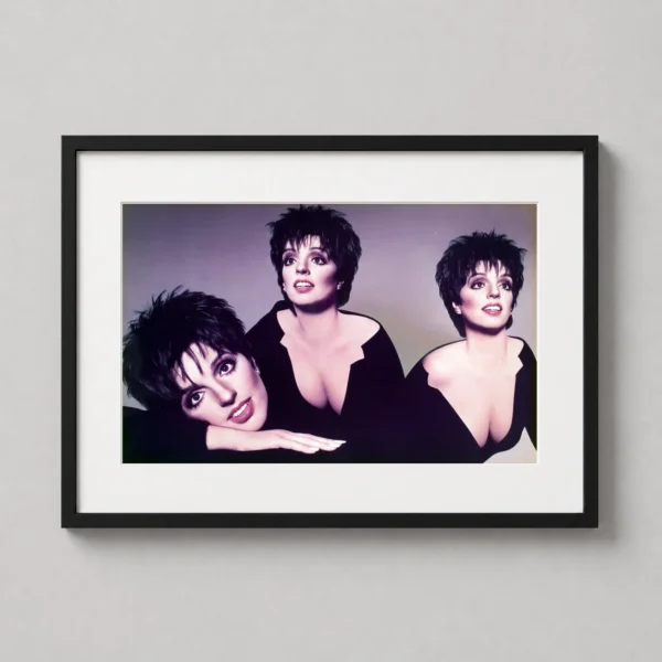 Richard Avedon Liza Minnelli 1994 Fashion Photography Print