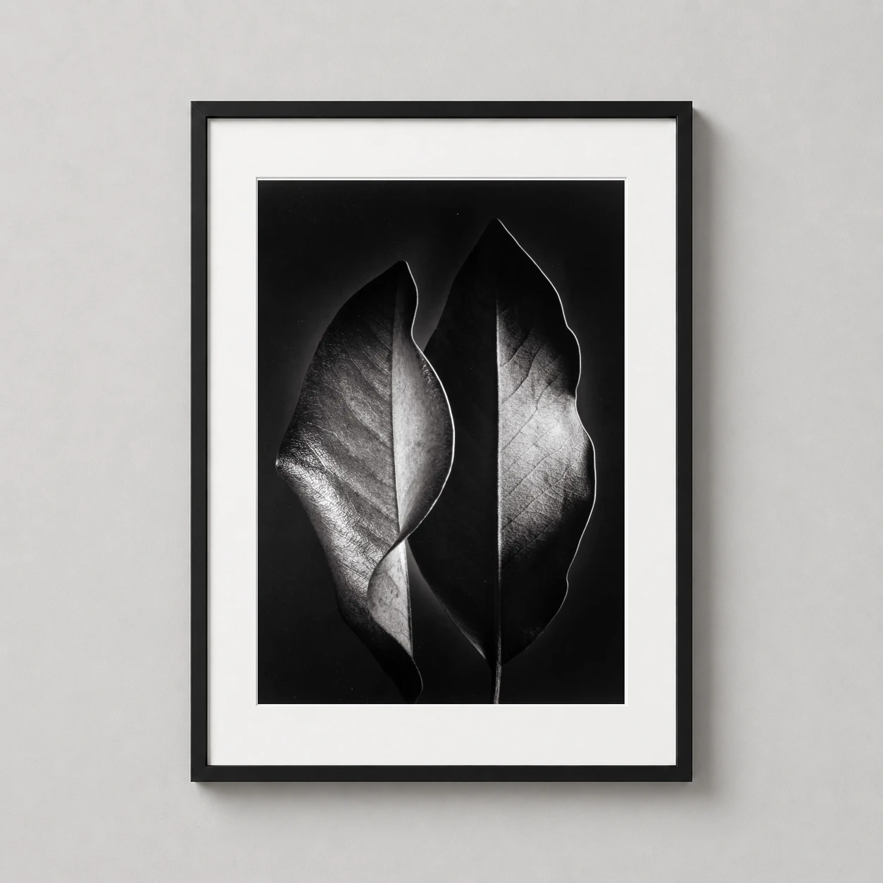Ruth Bernhard Two Leaves — high-contrast black and white photograph by Ruth Bernhard featuring two