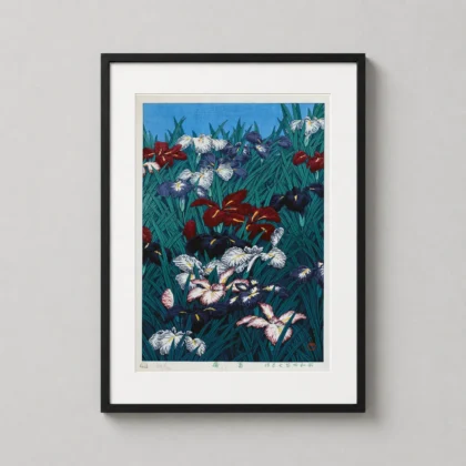 Ayame Iris – 1929 decorative Japanese woodblock print for curated interiors by MerchFuse