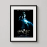 Harry Potter and the Order of the Phoenix Voldemort Movie Poster