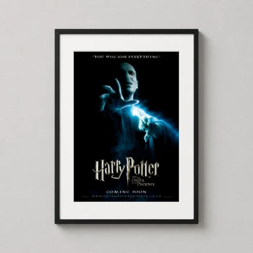 Harry Potter and the Order of the Phoenix Voldemort Movie Poster