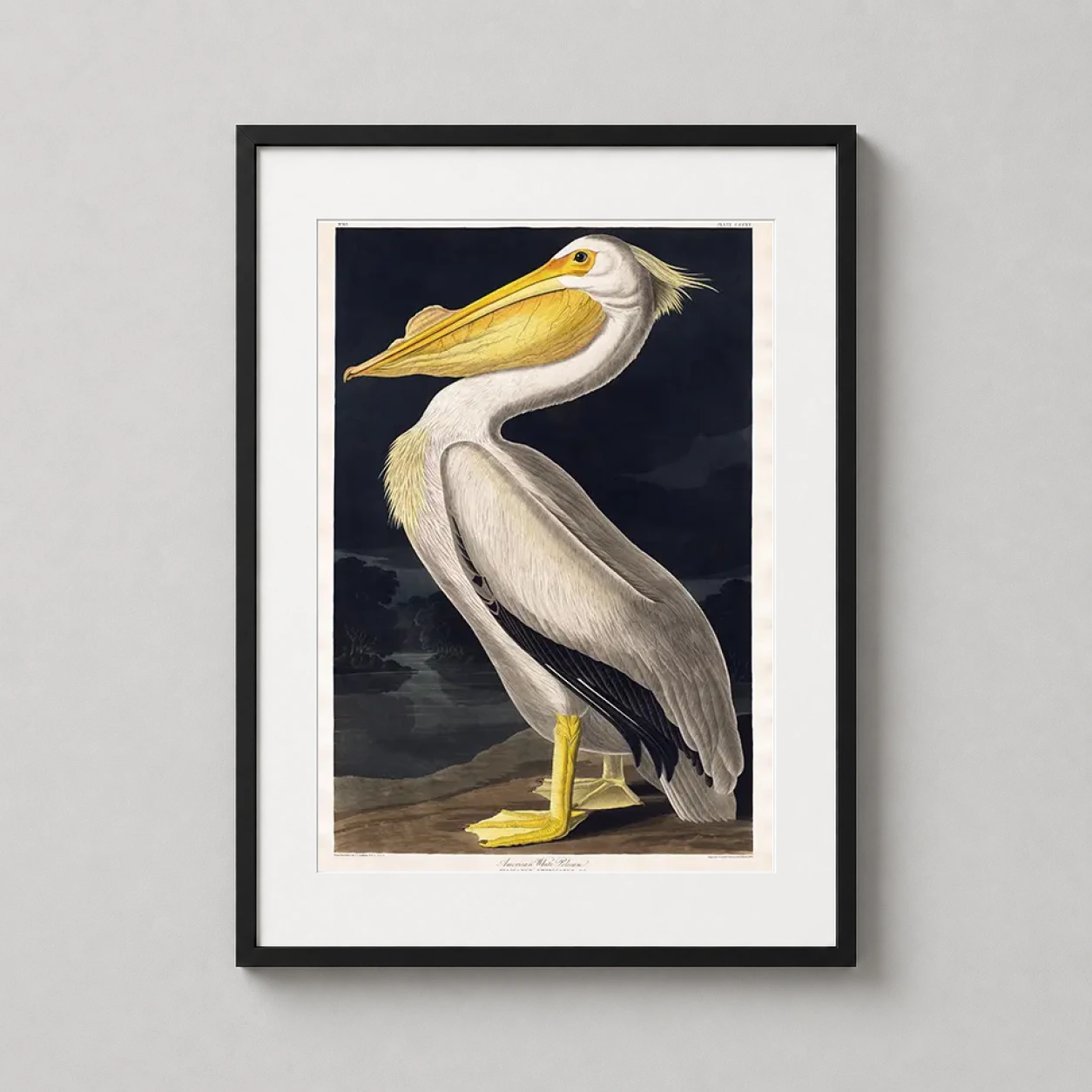 Room mockup of American White Pelican, John James Audubon Bird Art Print, displayed as framed wall art in a bedroom setting as a portrait print with yellow and white tones.