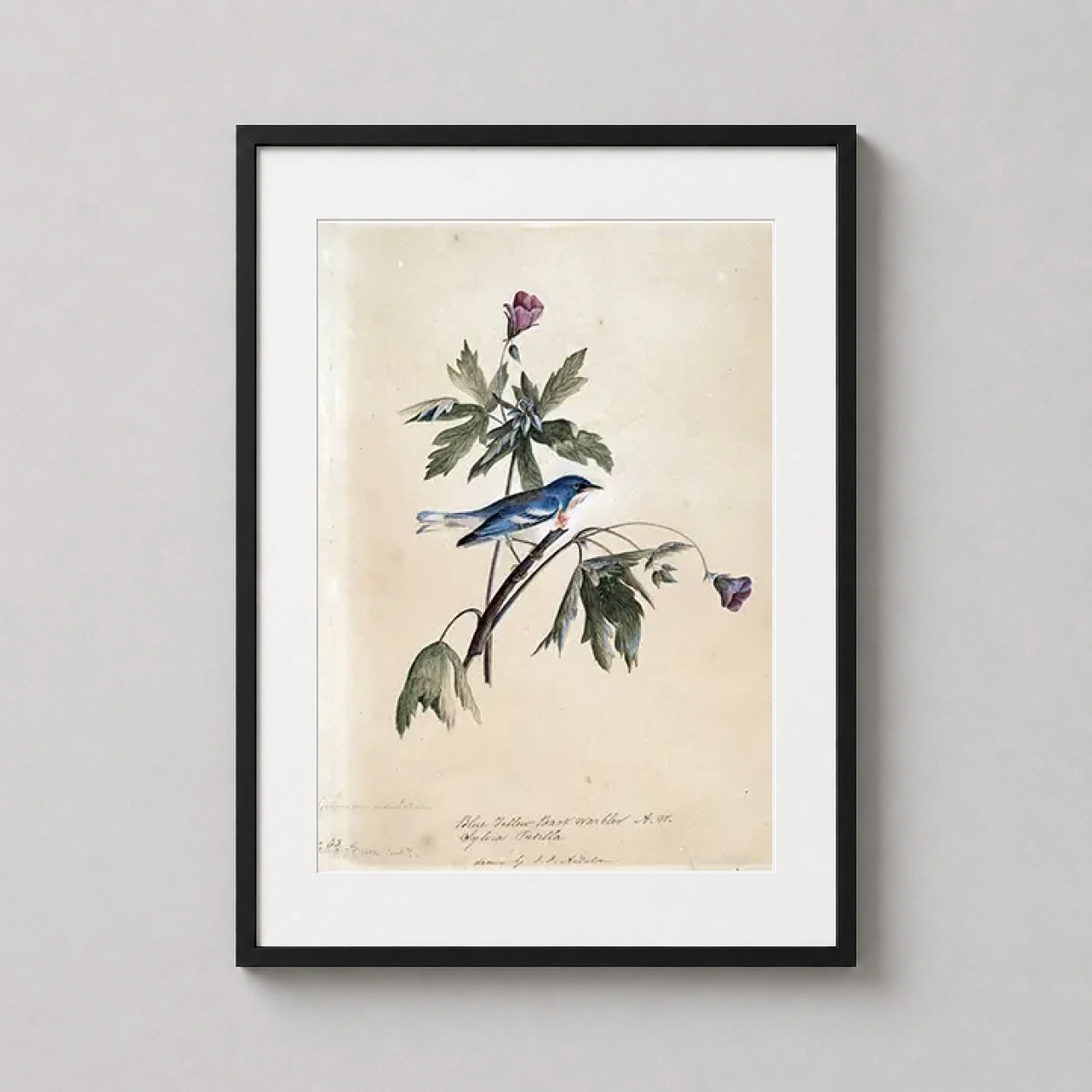 Room mockup of Blue-Yellow Back Warbler Audubon Bird Art Print, displayed as framed wall art in a bedroom setting as a portrait print with blue, green, and yellow tones.