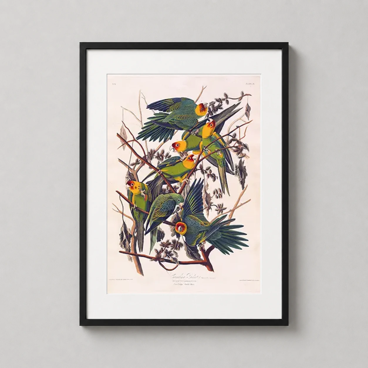 Room mockup of Carolina Parrot John James Audubon Birds of America Art Print, displayed as framed wall art in a bedroom setting as a portrait print with yellow and orange tones.