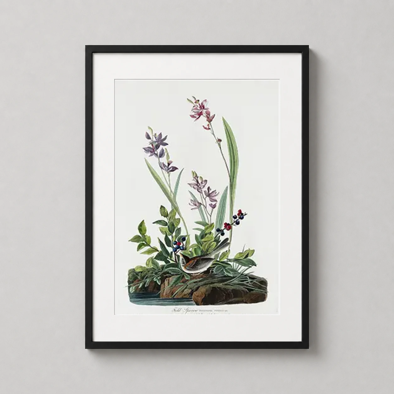 Field Sparrow Bird — fine art illustration of a Field Sparrow perched amidst lush greenery