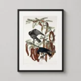 John James Audubon Fish Crow Vintage Bird Illustration Art Print