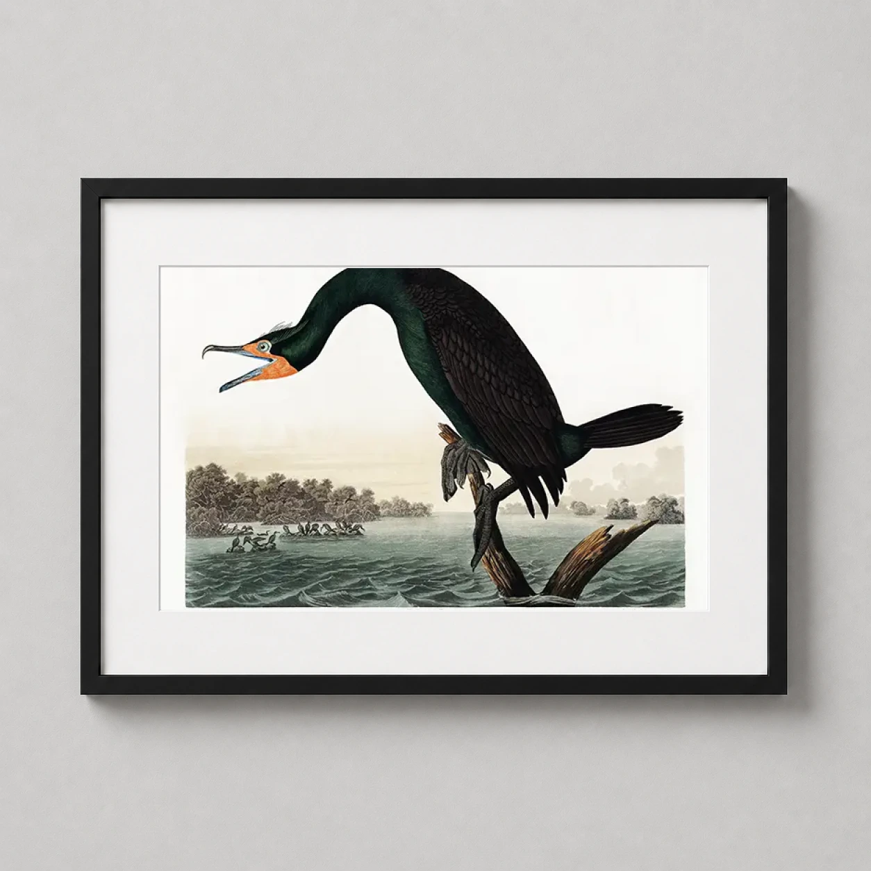 Room mockup of Florida Cormorant Audubon Illustration, Bird Art Print, displayed as framed wall art in a bedroom setting as a landscape print with orange and red tones.