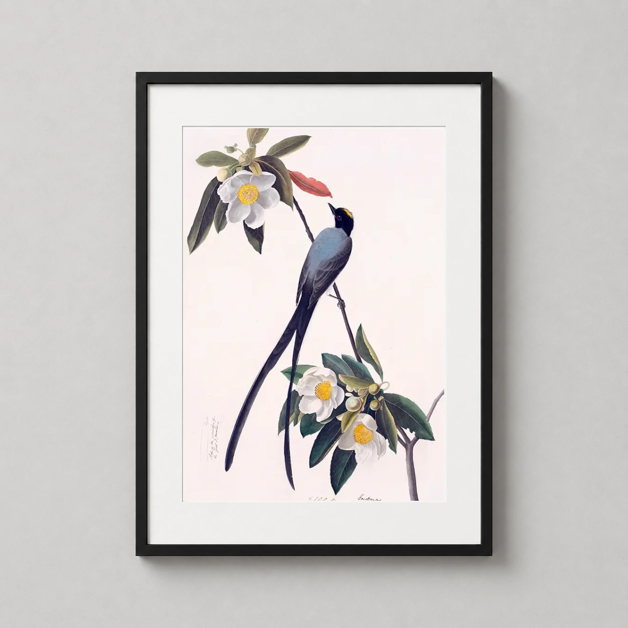 Room mockup of Fork-tailed Flycatcher 1832 Audubon Bird and Floral Art Print, displayed as framed wall art in a bedroom setting as a portrait print with green, gold, and grey tones.
