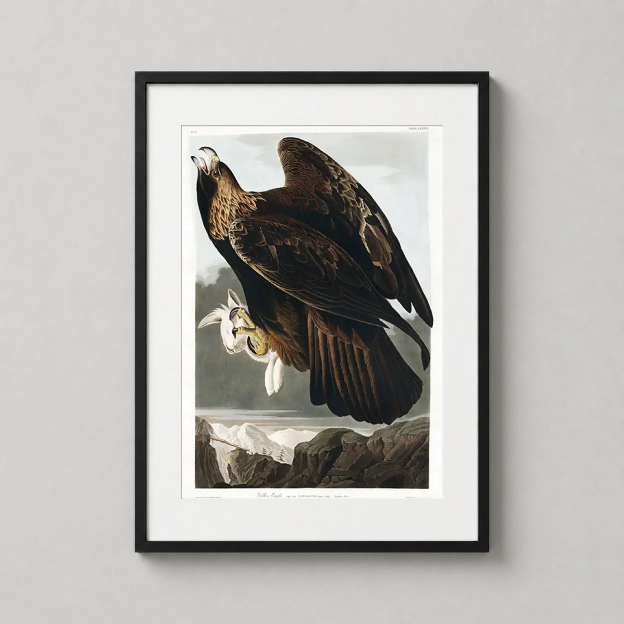 Room mockup of Golden Eagle John James Audubon Birds of America Art Print, displayed as framed wall art in a bedroom setting as a portrait print with gold and brown tones.