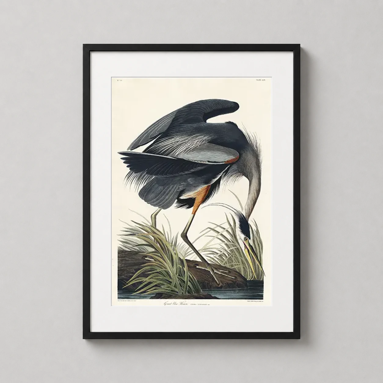 Room mockup of Great Blue Heron, Audubon Birds of America Illustration Art Print, displayed as framed wall art in a bedroom setting as a portrait print with blue, yellow, and cream tones.