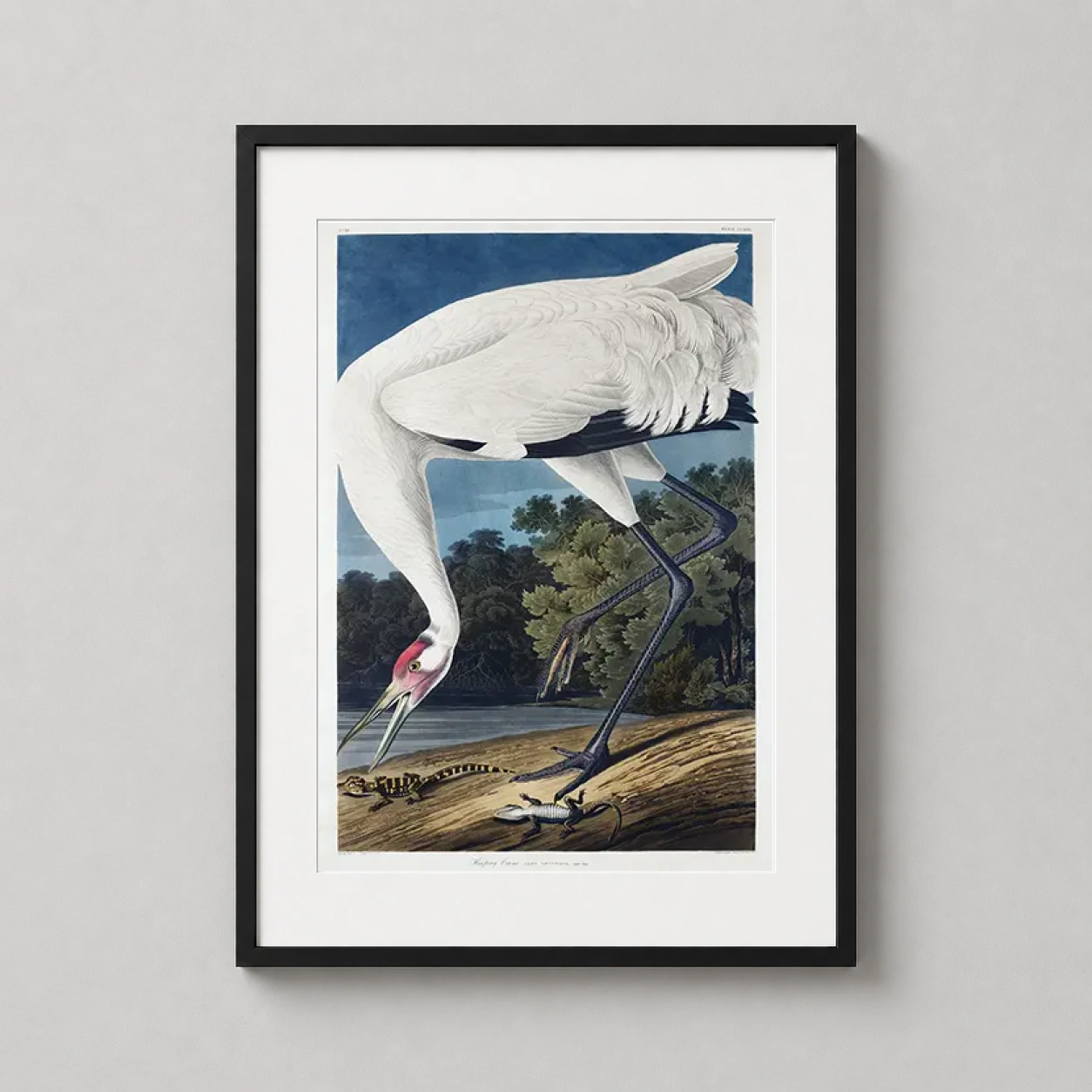 Room mockup of John James Audubon Whooping Crane Vintage Wildlife Art Print, displayed as framed wall art in a bedroom setting as a portrait print with red and white tones.