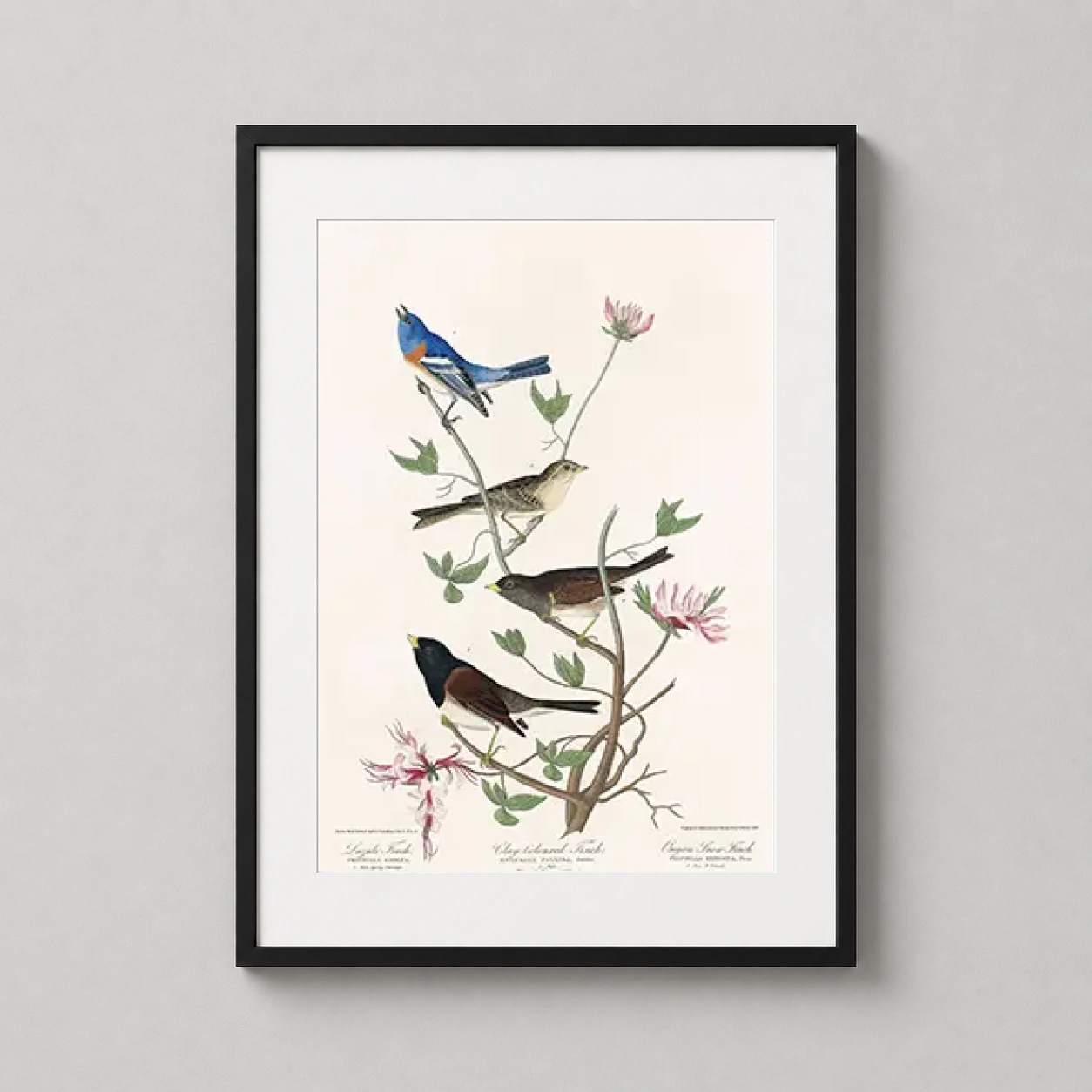 Room mockup of Lazuli Finch, Clay-Colored Finch, and Oregon Snow Finch Art Print, displayed as framed wall art in a bedroom setting as a portrait print with blue and pink tones.