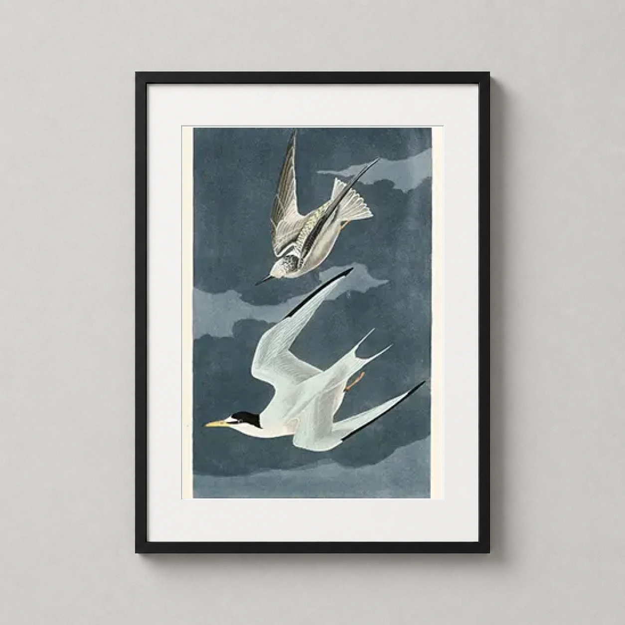 Room mockup of Lesser Tern Audubon Bird Illustration Vintage Art Print, displayed as framed wall art in a bedroom setting as a portrait print with blue and yellow tones.