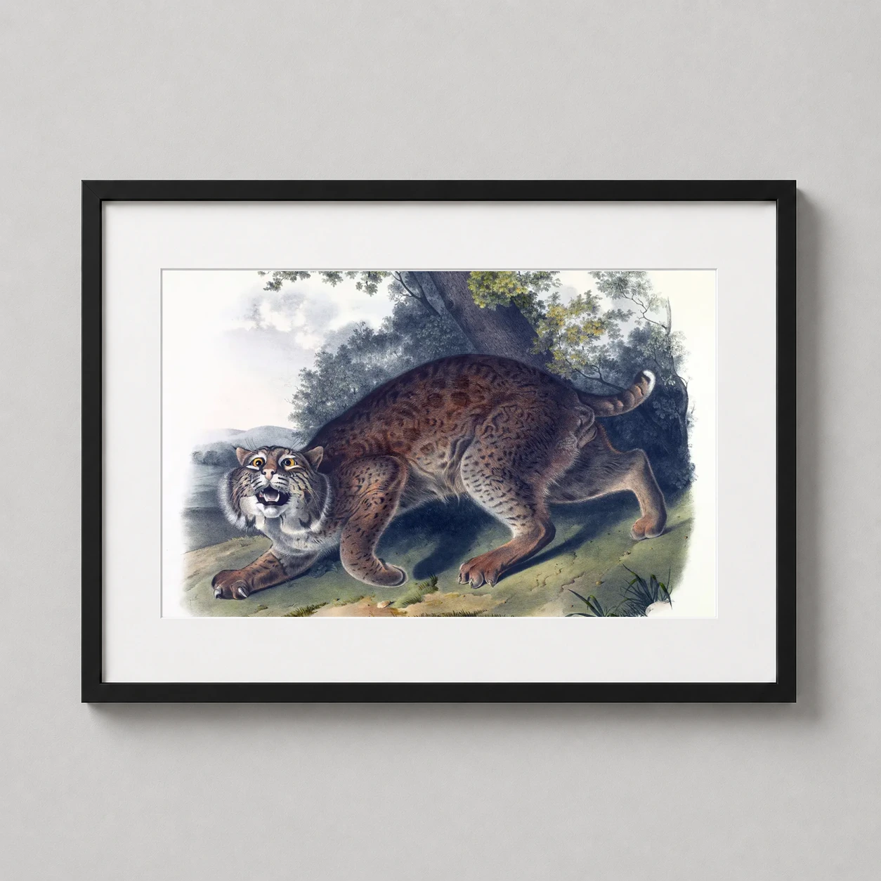 Room mockup of John James Audubon Common American Wild Cat Lynx Art Print, displayed as framed wall art in a bedroom setting as a landscape print with brown tones.