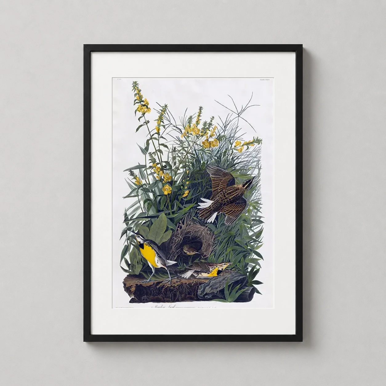 Room mockup of Meadow Lark, John James Audubon Birds of America Art Print, displayed as framed wall art in a bedroom setting as a portrait print with yellow tones.