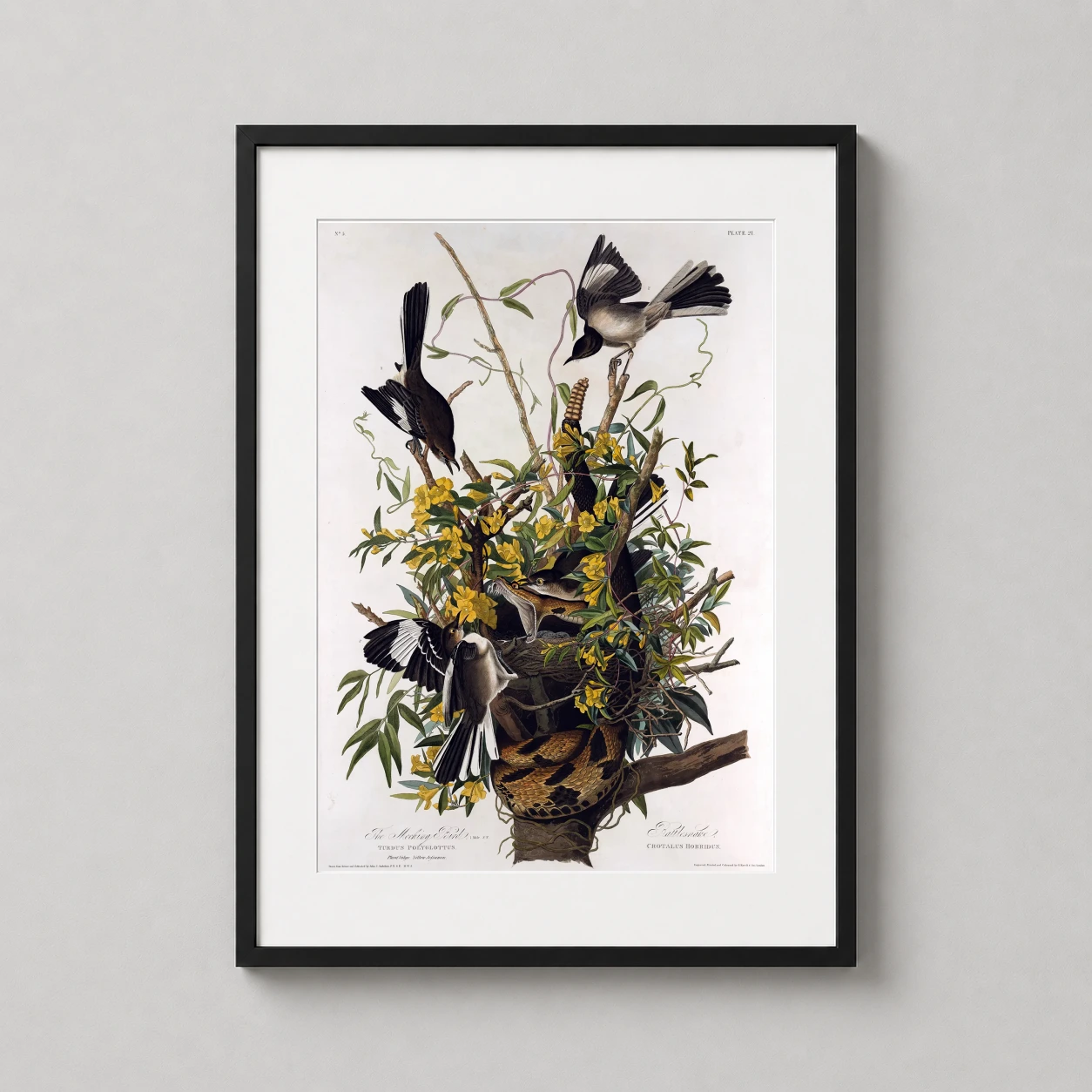 Room mockup of Northern Mockingbird and Rattlesnake Audubon Wildlife Art Print, displayed as framed wall art in a bedroom setting as a portrait print with yellow tones.