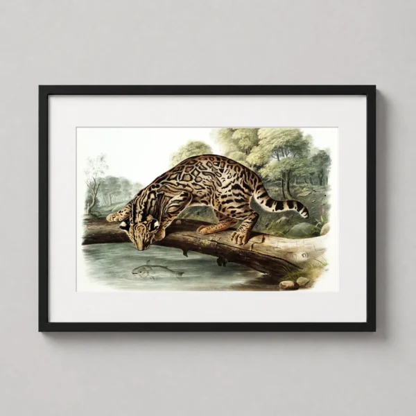 John James Audubon Ocelot Naturalist Illustration Art Print