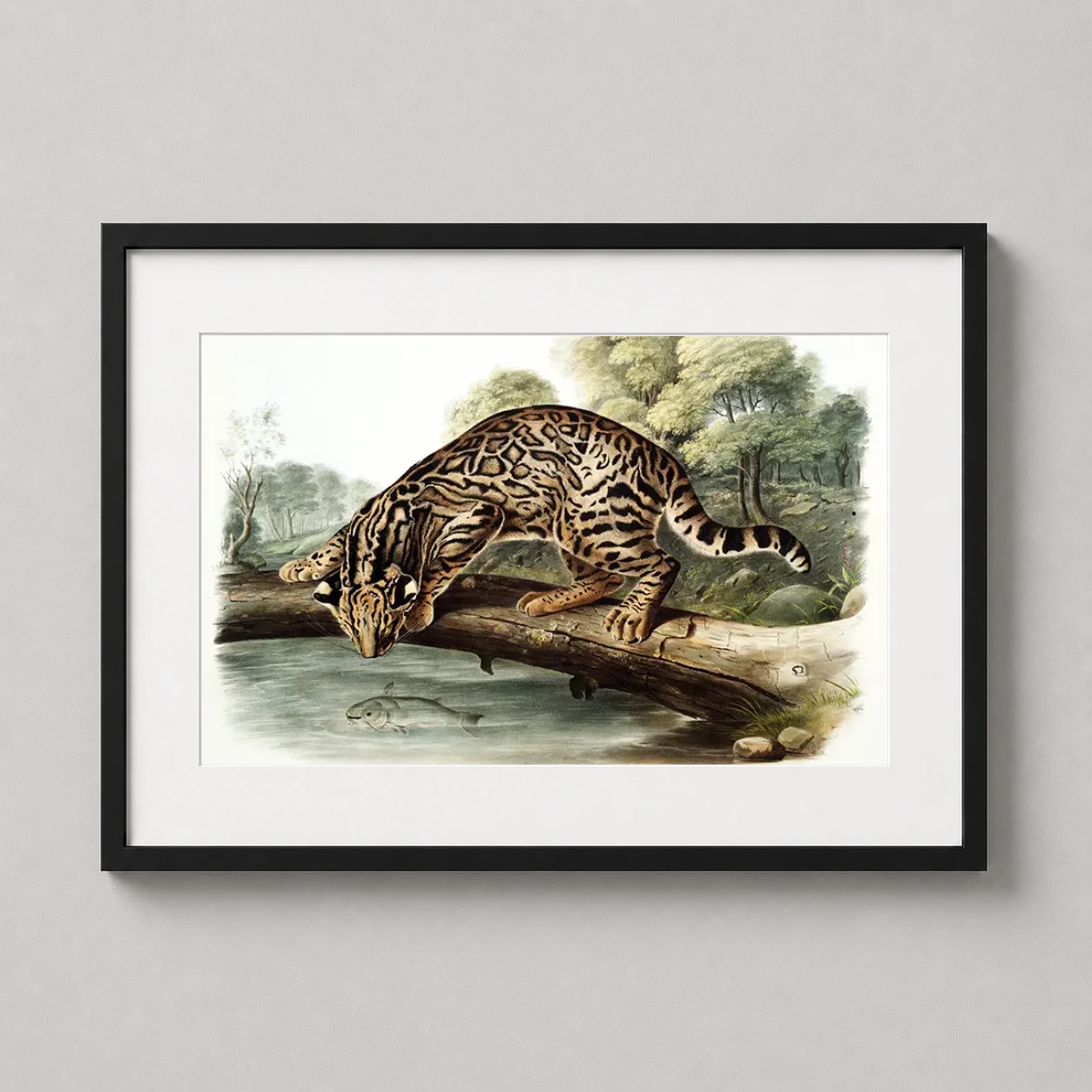 Room mockup of John James Audubon Ocelot Naturalist Illustration Art Print, displayed as framed wall art in a bedroom setting as a landscape print.