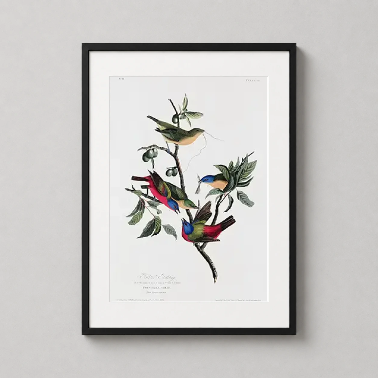 Room mockup of John James Audubon Painted Finch, Bird Wall Art Print, displayed as framed wall art in a bedroom setting as a portrait print with green and white tones.