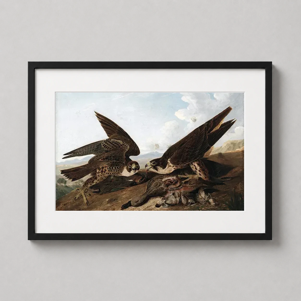 Room mockup of Audubon Peregrine Falcons Duck Hawks Illustration Art Print, displayed as framed wall art in a bedroom setting as a landscape print with gold tones.