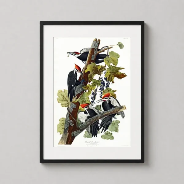 Pileated Woodpecker John James Audubon Birds of America Art Print