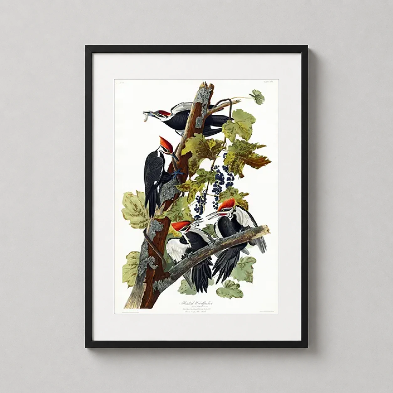 Room mockup of Pileated Woodpecker John James Audubon Birds of America Art Print, displayed as framed wall art in a bedroom setting as a portrait print with red tones.