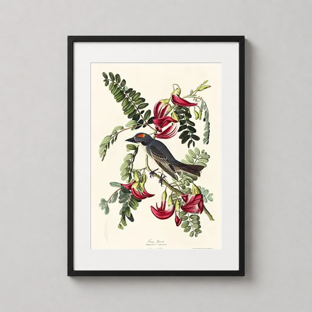 Room mockup of John James Audubon Gray Kingbird Botanical Bird Art Print, displayed as framed wall art in a bedroom setting as a portrait print with green, red, and grey tones.
